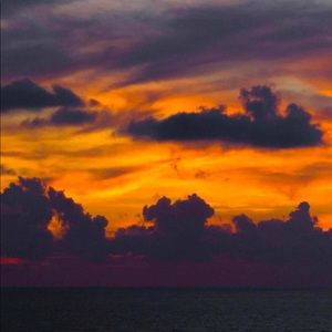 Meet your Posher, Mya